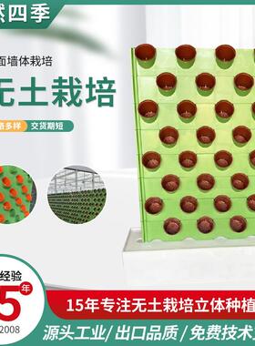 植物墙双面墙体栽培植物墙种植盒生态墙花槽绿植墙种植盒