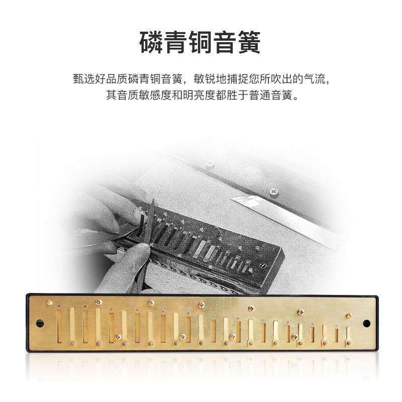 口琴24孔复音口琴儿童初学者学生男士C调专业演奏乐器,淘宝优惠券,粉丝福利购,淘宝优惠卷