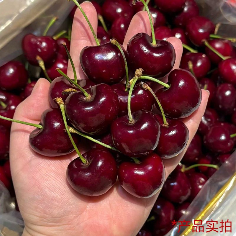 限定礼盒丨车厘子5斤装新鲜水果包邮3/4/5j智利进口大樱桃拉宾斯,淘宝优惠券,粉丝福利购,淘宝优惠卷