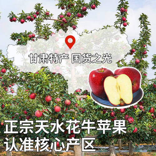 正宗甘肃天水花牛苹果10斤粉面冰糖心水果礼盒应季新鲜水果整箱 - 图3