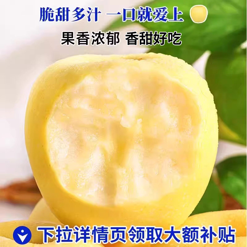 正宗山东烟台维纳斯黄金苹果旗舰店水果礼盒装送礼新鲜整箱包邮,淘宝优惠券,粉丝福利购,淘宝优惠卷