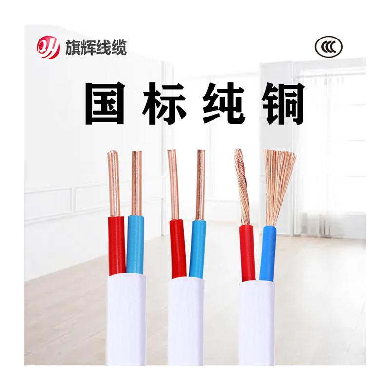电线2.5平方国标1.5 4 6护套线2芯纯铜软线家用电缆铜线电源线rvv - 图3