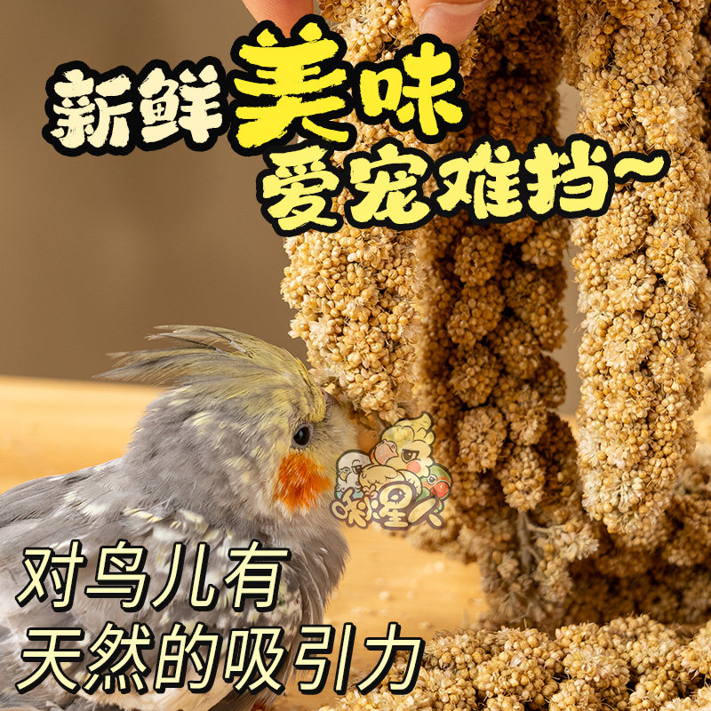 鹦鹉谷穗幼鸟学吃手养黄谷子麦穗小米玄凤虎皮饲料鸟零食天然鸟食,淘宝优惠券,粉丝福利购,淘宝优惠卷