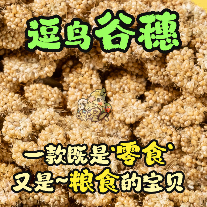 鹦鹉谷穗幼鸟学吃手养黄谷子麦穗小米玄凤虎皮饲料鸟零食天然鸟食,淘宝优惠券,粉丝福利购,淘宝优惠卷
