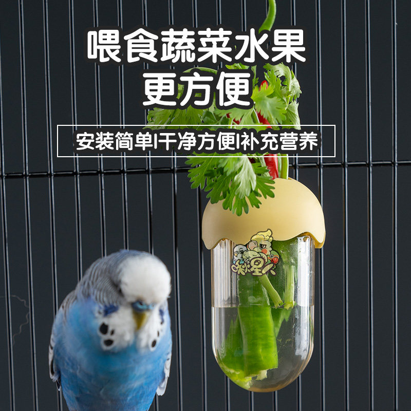 鹦鹉水培瓶蔬菜豆苗保鲜罐玄凤牡丹和尚花插水果喂食器用品配件,淘宝优惠券,粉丝福利购,淘宝优惠卷