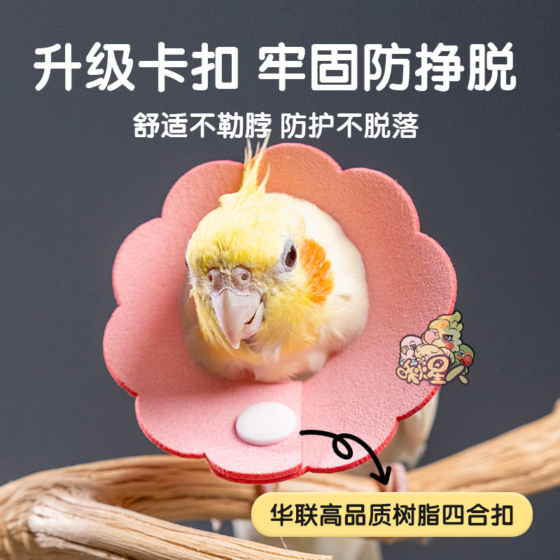 鹦鹉伊丽莎白圈超轻受伤颈项圈牡丹虎皮和尚防拔毛小鸟专用防啄羽,淘宝优惠券,粉丝福利购,淘宝优惠卷