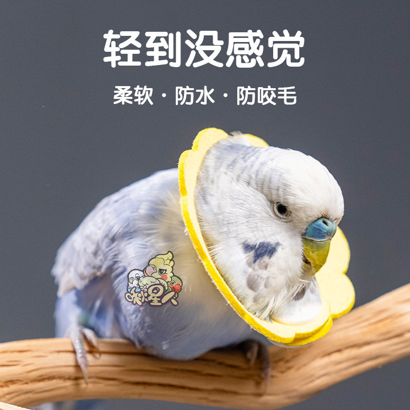 鹦鹉伊丽莎白圈超轻受伤颈项圈牡丹虎皮和尚防拔毛小鸟专用防啄羽,淘宝优惠券,粉丝福利购,淘宝优惠卷