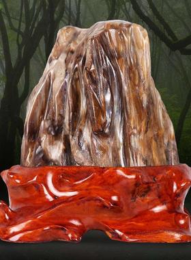 缅甸树化玉原石摆件天然冰种硅化木木化石奇石客厅景观石观赏石头