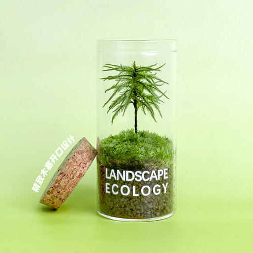 万年藓生态瓶桌面小绿植鲜活苔藓微景观室内微型盆栽植物送人礼物 - 图0
