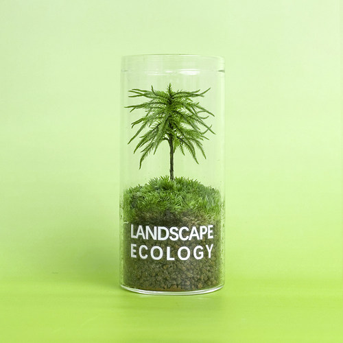 万年藓生态瓶桌面小绿植鲜活苔藓微景观室内微型盆栽植物送人礼物 - 图2