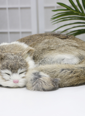 仿真猫咪动物模型家居装饰品桌面C摆件真皮毛动物玩偶软装饰品摆