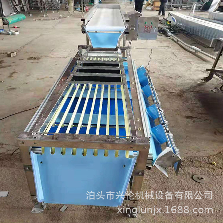 椰枣分果机 杏梅分级机 鸡蛋果选果机 沃柑分选机 分选设备,淘宝优惠券,粉丝福利购,淘宝优惠卷