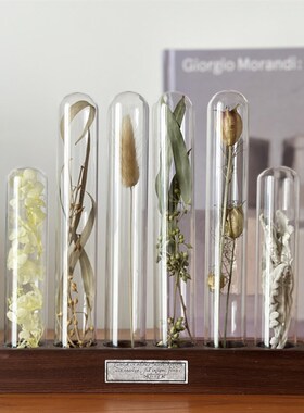 玻璃试管干花植物标本实木t底座组合桌面装饰摆件送闺蜜礼物诧寂