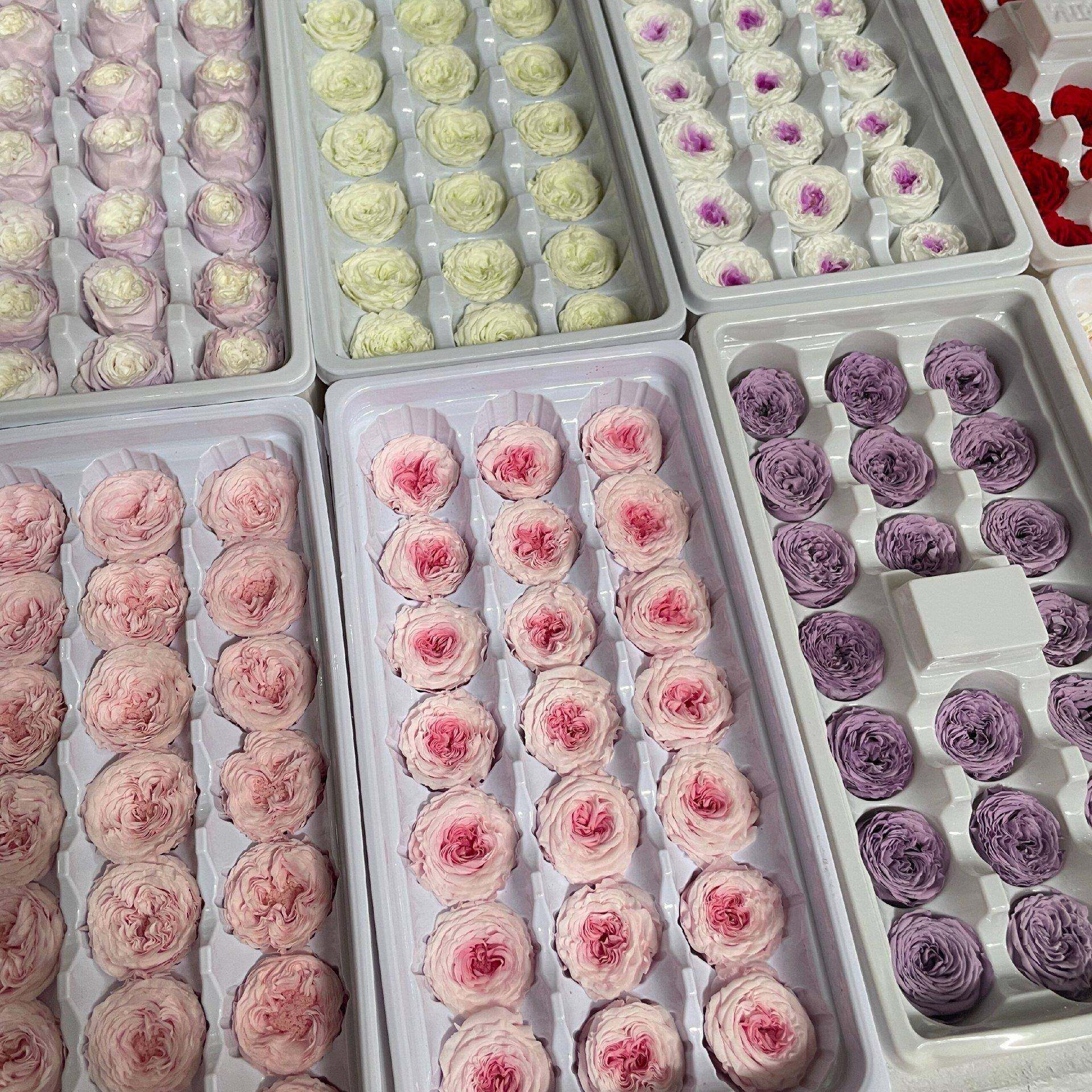 厂家直供永生花奥斯汀花头2-3厘米巧克力心保鲜花DIY花材,淘宝优惠券,粉丝福利购,淘宝优惠卷