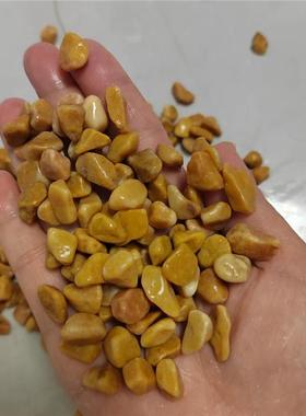 供应米黄色石子黄色石子黄色水洗石胶粘石露骨料用黄石子