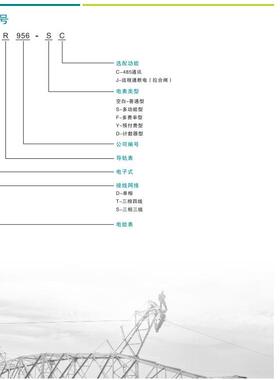 单相1P液晶多功能导轨电表DDSR956-SC1P多功能单相导轨式电能表