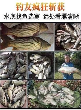射鱼眼镜 专业 弹弓鱼看水底专用偏光镜钓鱼看漂户外路亚太阳镜