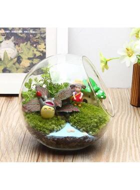 现货速发景观微斜口玻璃花瓶 苔藓 多肉生态瓶 水晶玻璃家居饰品