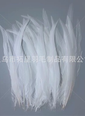 白色公鸡尾羽毛装饰DIY饰品发饰材料配件服装辅料捕梦网摄影道具