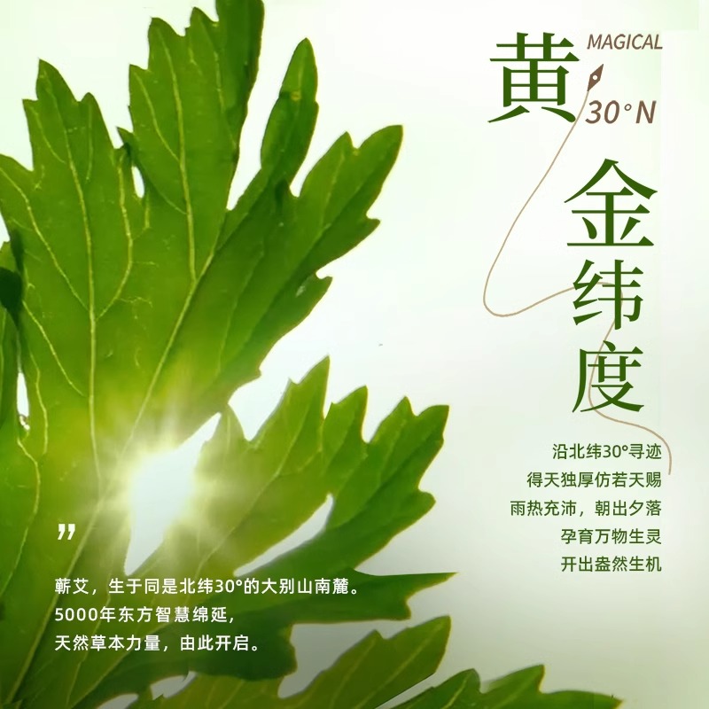 breo倍轻松姜小竹A2艾灸盒电子无烟明火热敷艾灸罐器具家用随身灸