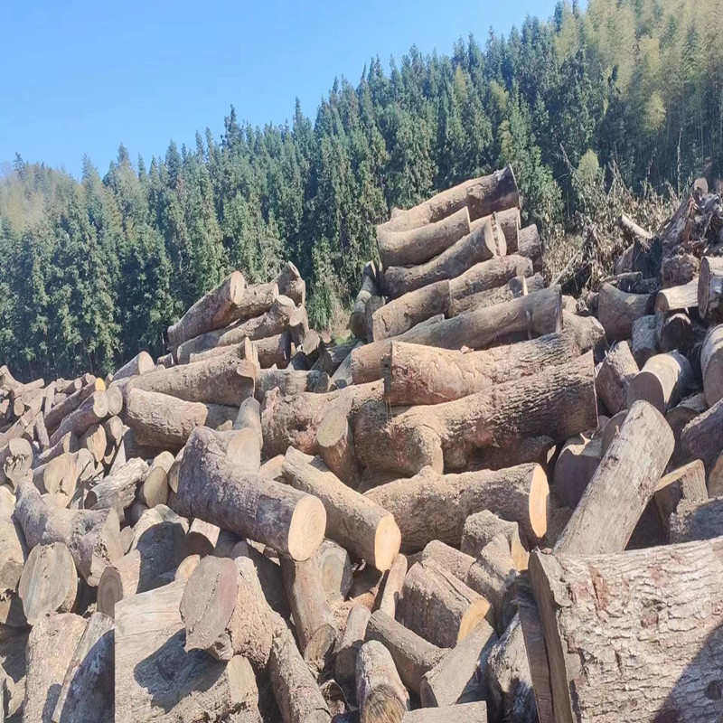 厂家直销支批发原木，香樟木墩子茶几底座桌圆实木头根雕木桩凳子,淘宝优惠券,粉丝福利购,淘宝优惠卷