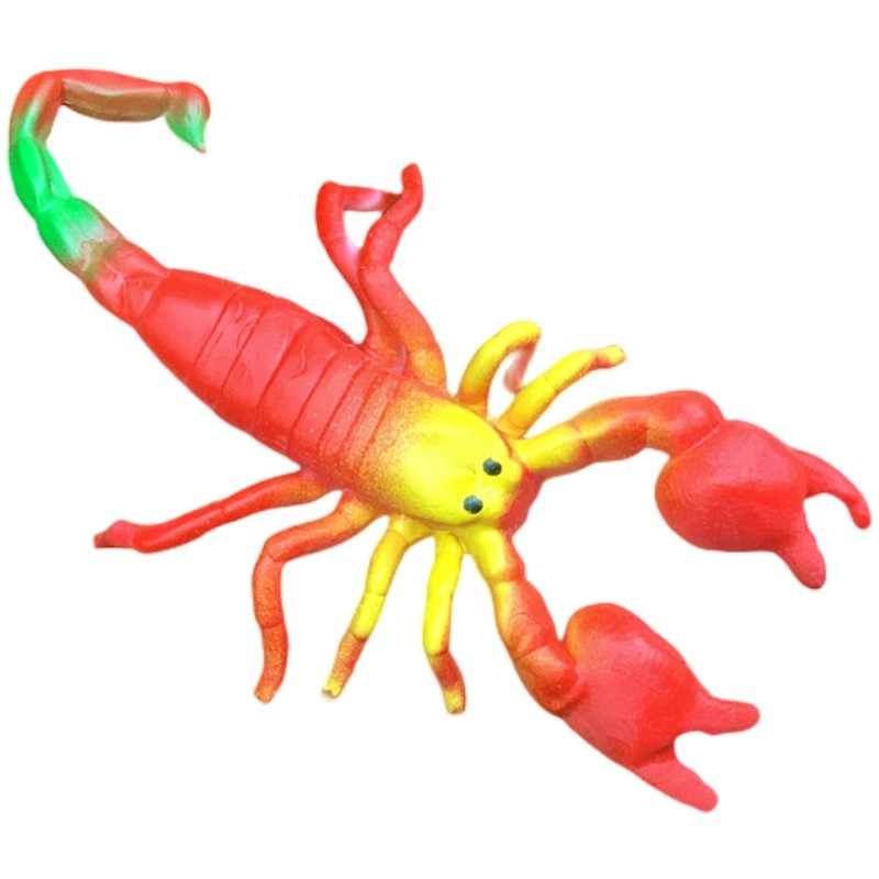 软胶仿真蝎子大号套装幼儿园儿童认知玩具吓人吓人动物小昆虫模型 - 图3