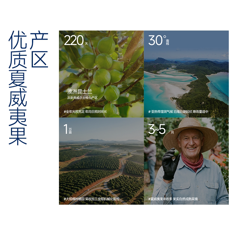 【亿堡夏威夷果】原味罐装坚果零食大颗粒孕妇无添加健康礼品