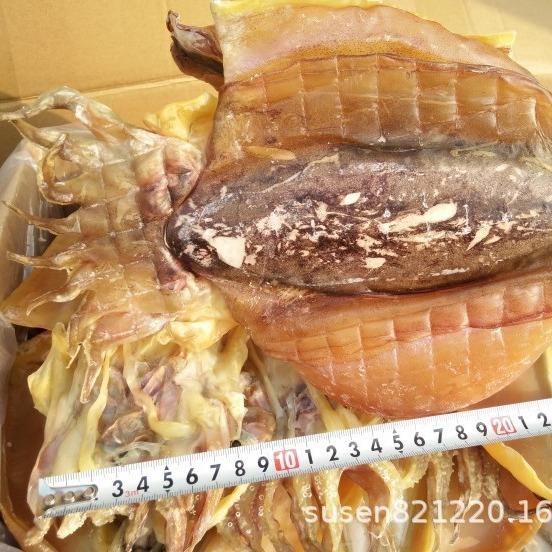 北海特产海产品海鲜新鲜墨鱼干干货目鱼干乌贼干 半斤约2个 - 图2