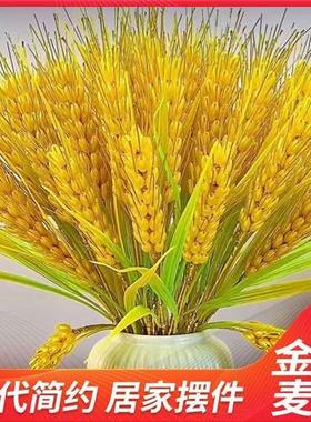 金色麦穗大麦成品花束新年客厅摆放招财花10根(不含花瓶)