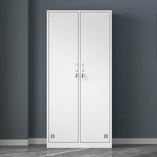 办公室二门员工更衣柜铁皮柜子2门储物柜带锁健身房3门浴室换衣柜 - 图1