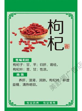 中草药功效海报中药材贴纸挂图人参宣传画鹿茸虫草三七滋补品好处