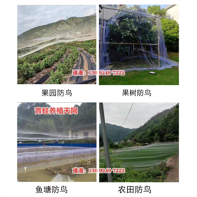 防鸟网果树果园大棚尼龙线防乌网阳台樱桃树葡萄窗户鱼塘用的天网