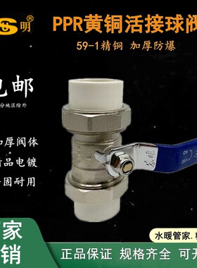 苏明PPR热熔双头活接铜球阀铜杆铜球4分20 25 32ppr水管阀门开关