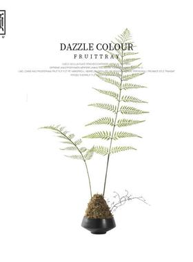 新中式日式侘寂风仿真蕨类金毛狗阙植物盆栽禅意茶楼茶室玄关摆件