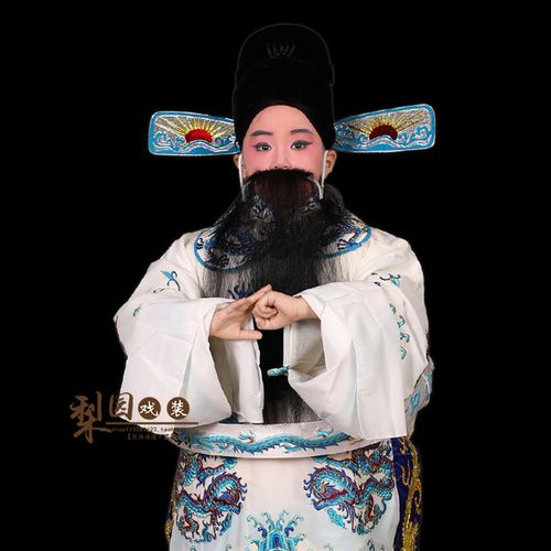 速发梨园舞装京越剧戏曲童童小孩戏台演出服装老生蟒袍 男蟒儿儿 - 图1