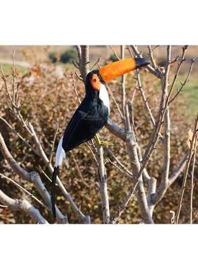 仿真羽毛大嘴鸟巨嘴鸟创意摆件橱窗装饰园林摄影道具客厅摆件