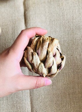 好货【云如菊】原生态田园自然会所咖啡屋家居摆设艺术干花拍摄云