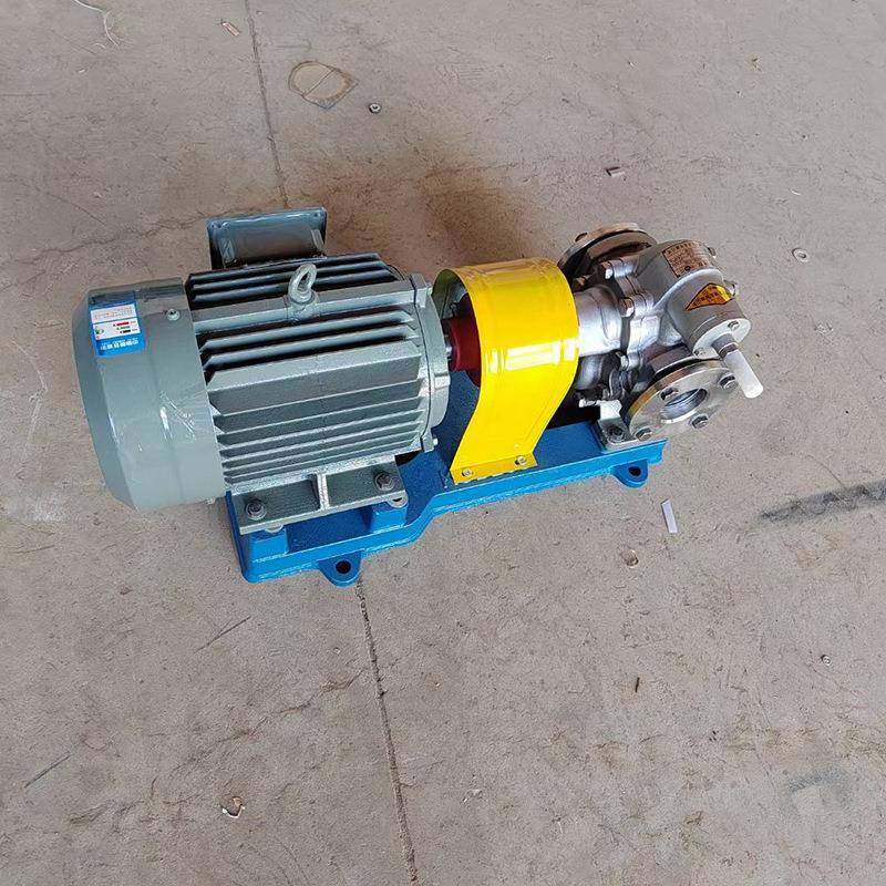 不锈钢齿轮泵食品齿轮泵润滑油泵机械油菜籽油食用油用泵食品级,淘宝优惠券,粉丝福利购,淘宝优惠卷