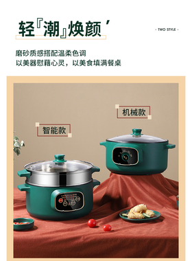 电煮锅多功能蒸煮焖炒煎炖火锅