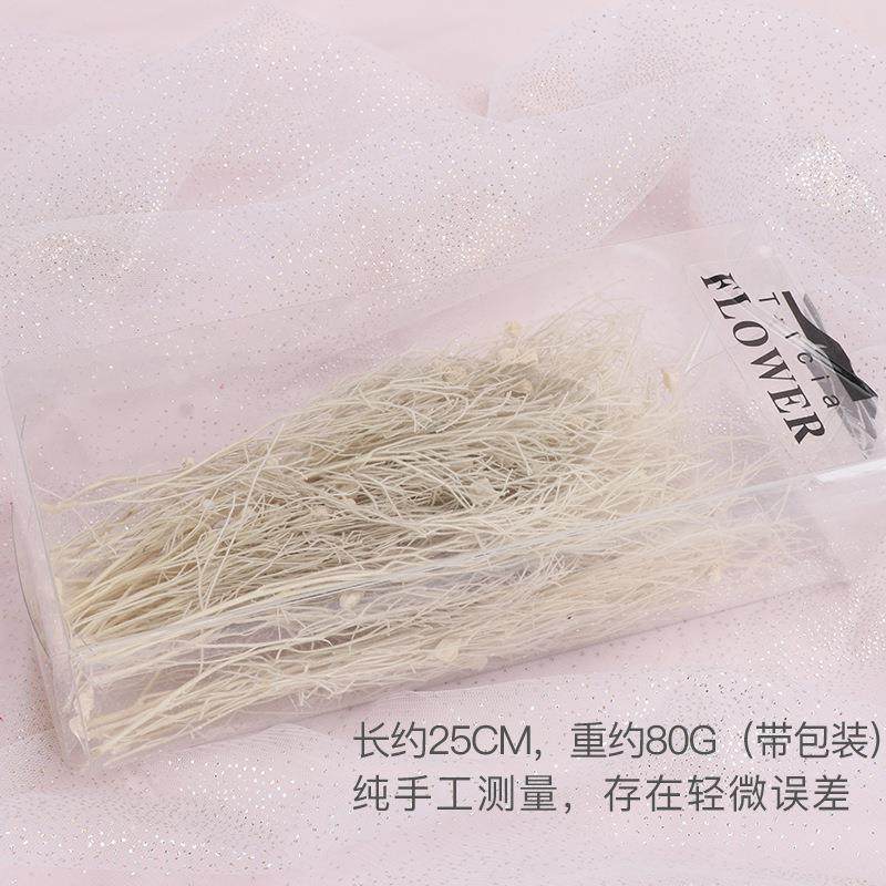 永生梦幻草干花花束龙须草仙女气质ins北欧装饰摄影道具diy配材,淘宝优惠券,粉丝福利购,淘宝优惠卷