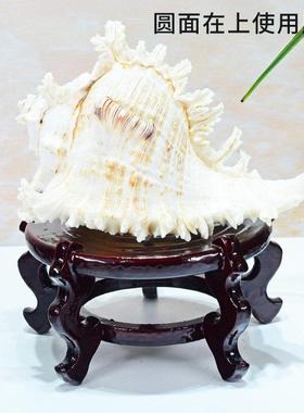 高脚木质底座托架海螺花瓶花盆底坐石头香炉鱼缸木托盘架摆件底座
