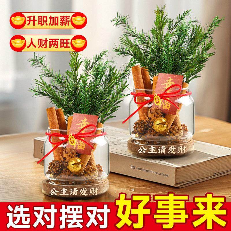 肉桂生财摆件桂皮发财瓶子招财玻璃瓶diy材料办公桌卧室送女友,淘宝优惠券,粉丝福利购,淘宝优惠卷