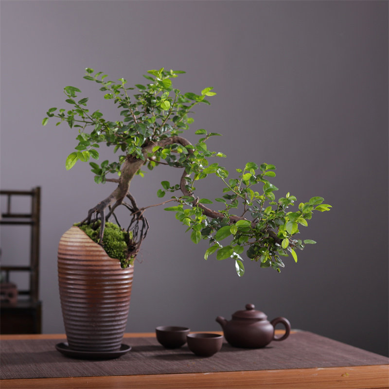 图4