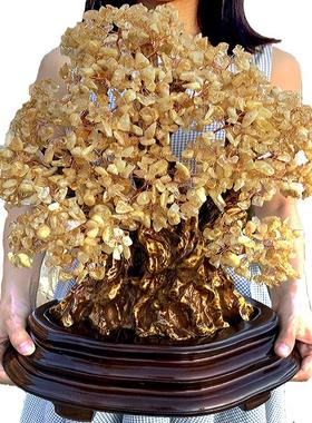 黄天然水品晶招财摇钱榕树摆件家居客厅饰装品办公室开业BTV礼电