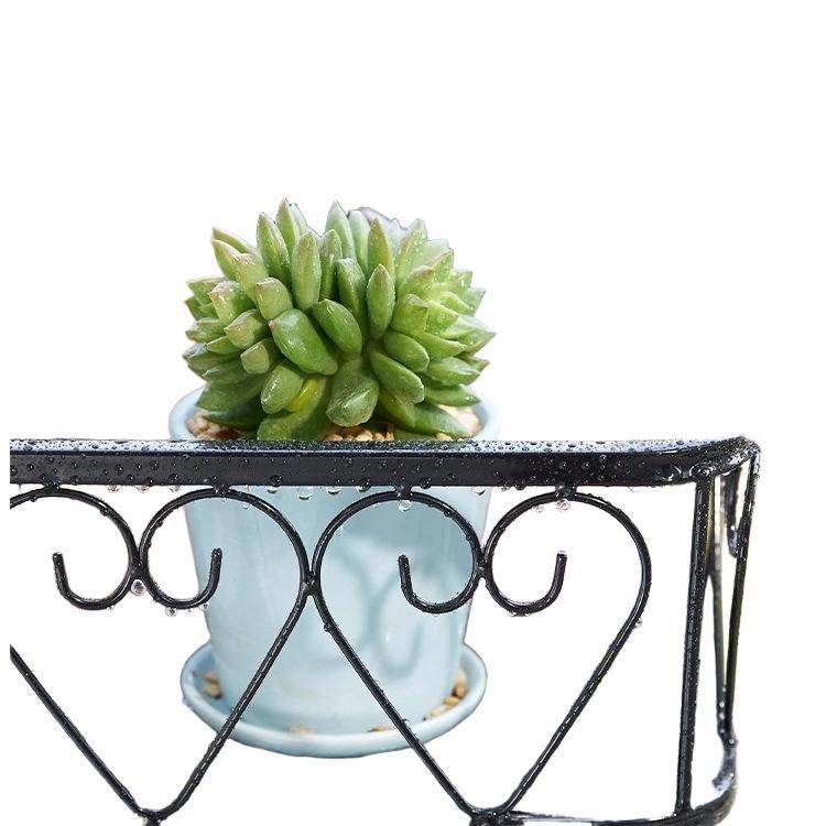 阳台悬挂花架置物架栏杆护栏窗台铁艺多肉2025新款挂式花盆架子,淘宝优惠券,粉丝福利购,淘宝优惠卷