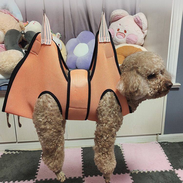 宠物美容吊床猫咪狗狗剪指甲固定器泰迪挂钩式喂药防抓神器猫吊袋,淘宝优惠券,粉丝福利购,淘宝优惠卷