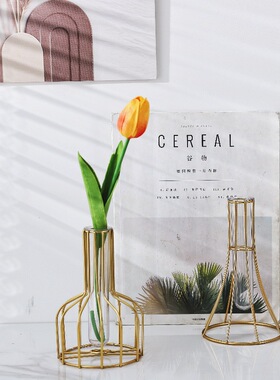 轻奢金色铁艺透明花瓶摆件