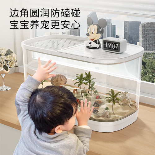 寄居蟹饲养箱小型豪华别墅螃蟹相守蟹专用生态龟缸爬台养乌龟套装 - 图3