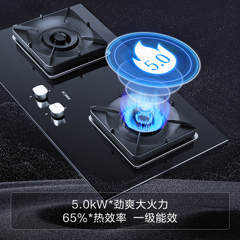 方太TH29B燃气灶煤气灶双灶嵌入式家用天然气液气化猛火台式灶具