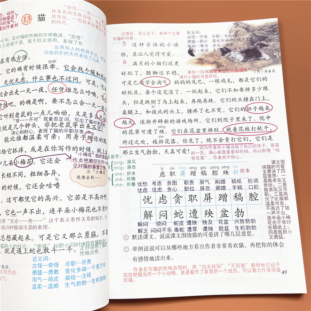 2026春四年级下册语文课堂笔记人教部编版课本同步新版英语原文翻译讲解数学北师大教材解析重点知识点学霸笔记提前预习复习资料书